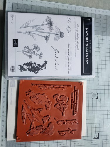 Stampin stamp set nature - stamp,