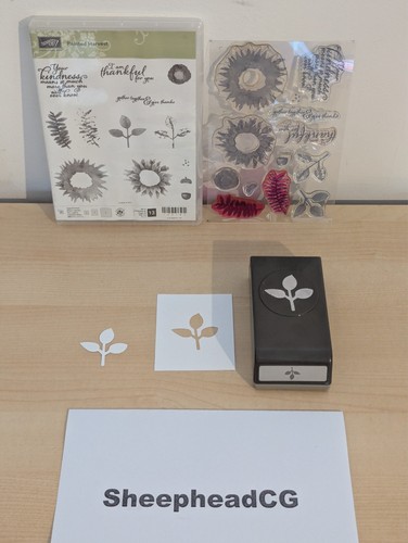 Stampin painted harvest - up!,