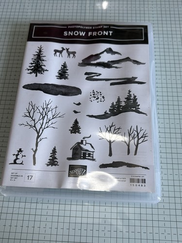 Stampin snow front - up,