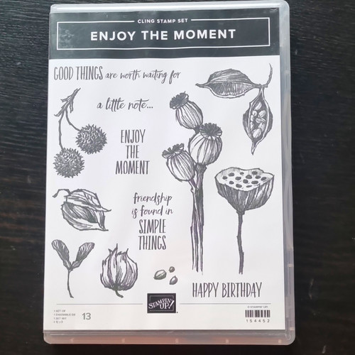 Stampin enjoy the moment - stampin',