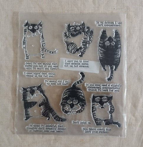 Stampin katzelkraft funny - stampin', up