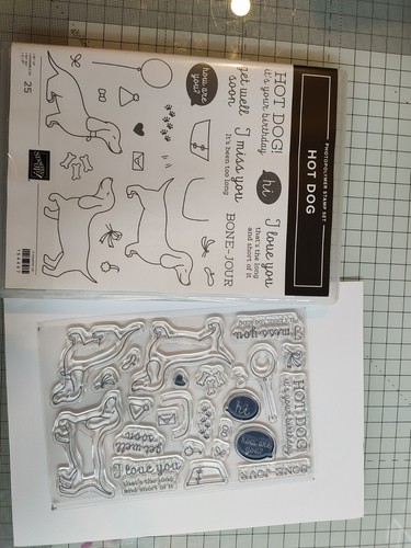 Stampin hot dog - up,