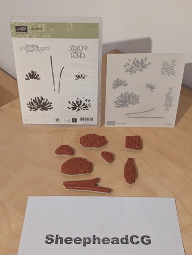 Stampin too kind clear - stampin',