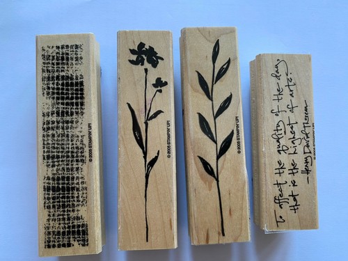 Stampin rubber stamp set - stampin',