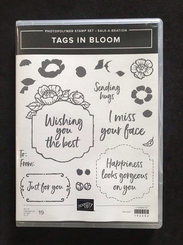 Tags bloom frames - in,