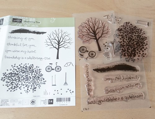Stampin clear stamp set - up,