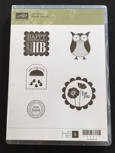 Punch bunch owl - owl, birthday