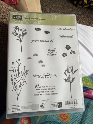Stampin stamps and dies - up,
