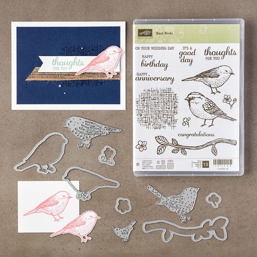 Stampin best birds - up!,