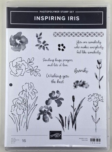 Stampin inspiring iris - up!,