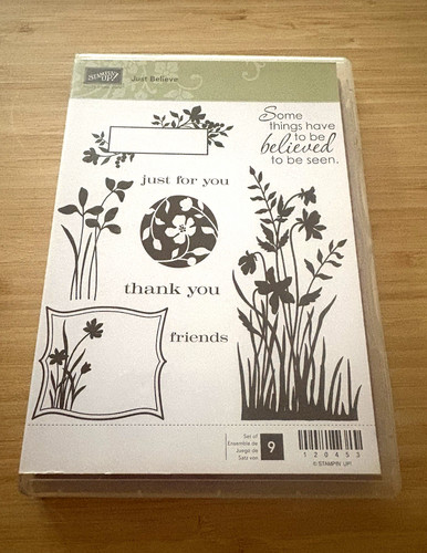 Stampin just believe - up!,