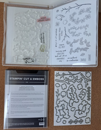 Stampin photopolymer - stampin',