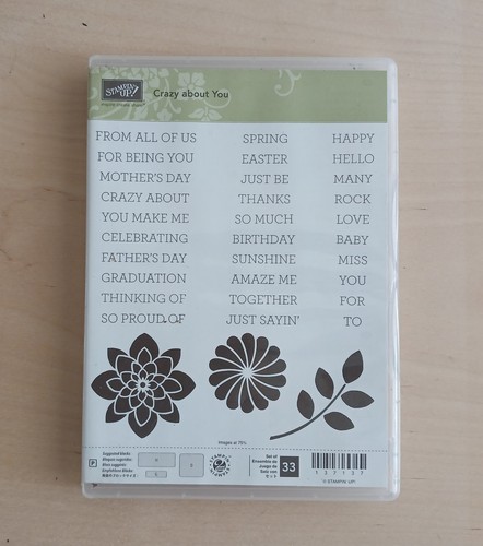 Stampin stamp set crazy - stampin',